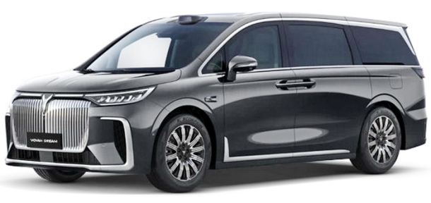 Автомобильные коврики EVA для Voyah Dream (2021->)